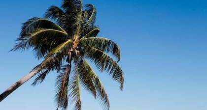 Minshuku KCS Hotel and Restaurant