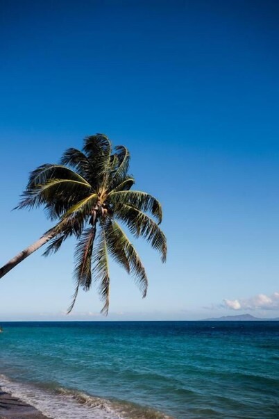 Minshuku KCS Hotel and Restaurant 