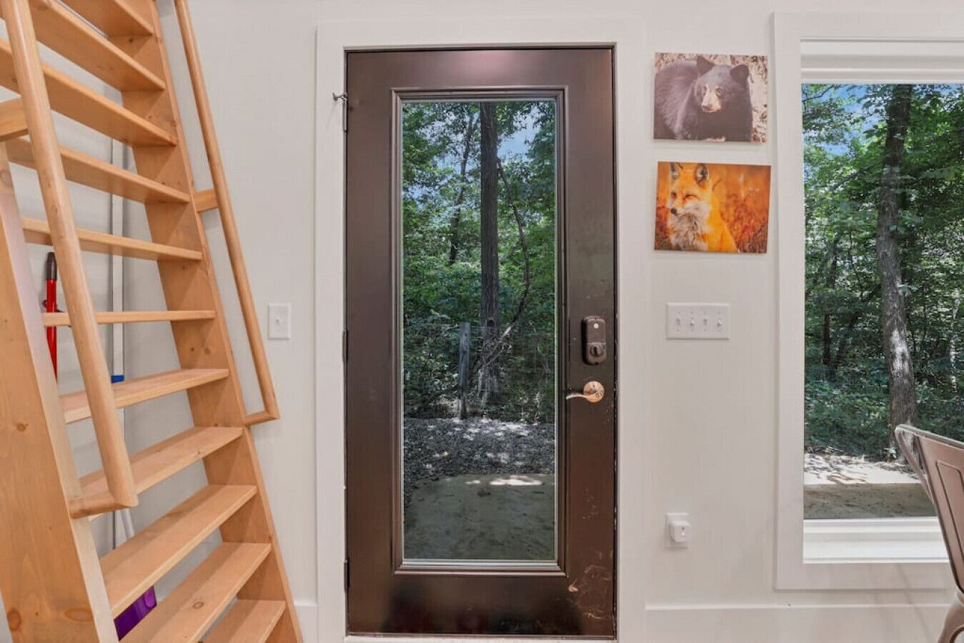 A wooden ladder leaning against a white wall, a door with a glass panel reflecting a forest, and two framed pictures of animals on the wall.