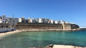 A coastal town with white buildings, clear turquoise sea, and a rocky shoreline. - Le Terrazze di Don Nino (Polignano a Mare)