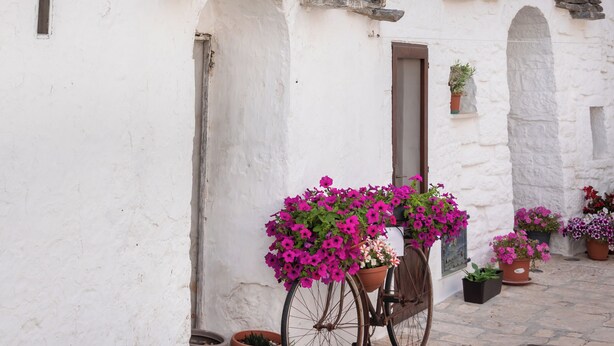 A traditional building with a conical roof and a bicycle with flowers. - Le Terrazze di Don Nino (Polignano a Mare)