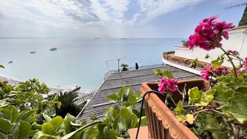 Quang cảnh nhìn từ nơi lưu trú