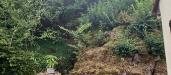 Logement Cadre Apaisant à Moussey Dans un Écrin de Verdure