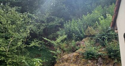 Logement Cadre Apaisant à Moussey Dans un Écrin de Verdure