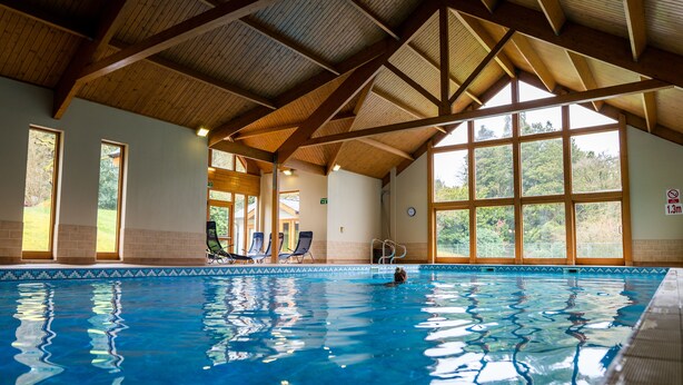 Una piscina interior con vigas de madera, ventanas amplias y un borde de azulejos.