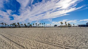 A sandy beach with palm trees and a volleyball net. - Driftwood Getaway! South Mission Beach (San Diego)