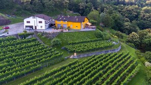 Exterior - Cherry tree apartments surrounded by greenery (Bellinzona)