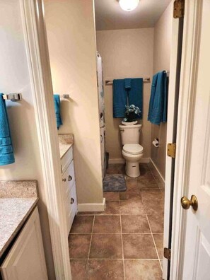 Tina, secadora de cabello, toallas 