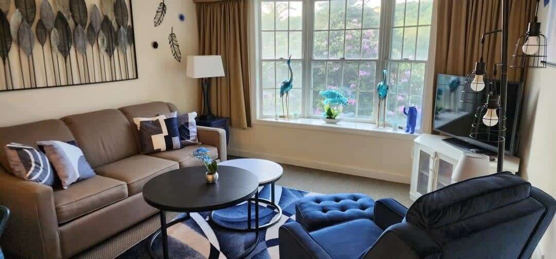 Fernseher, DVD-Player, Bücher