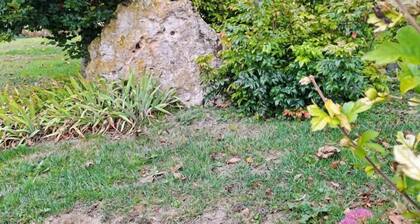 Le Menhir - Blancs-coteaux