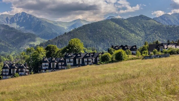A row of traditional houses with a mountainous backdrop.