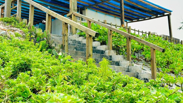 A building with a blue roof and wooden staircase leading up to it. - Ben's House 3 (Da Nang)