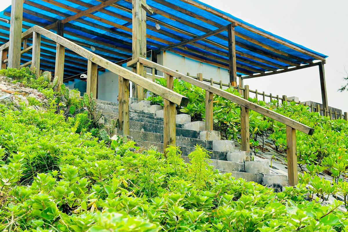 A building with a blue roof and wooden staircase leading up to it.