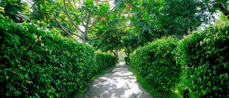 Àrea exterior de l'allotjament