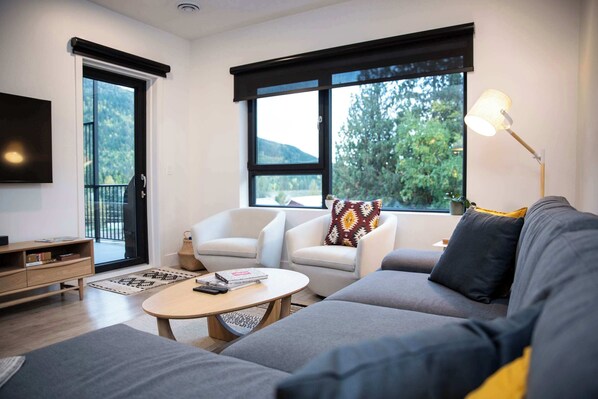 TV, fireplace, books, offices