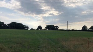 Un vaste champ dégagé, avec quelques arbres à l’horizon et une ligne électrique qui le traverse.