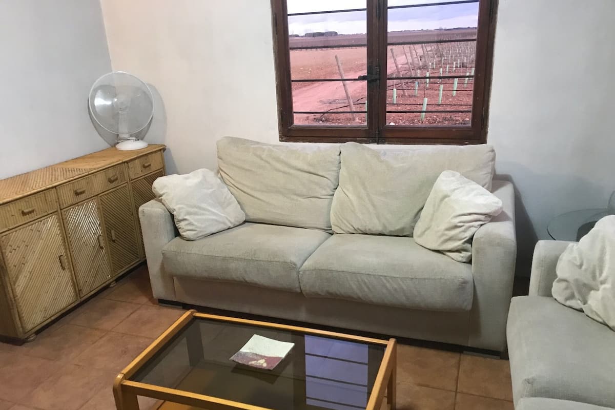 A living room with a sofa, a glass-top coffee table, a wooden cabinet, and a window with a view of a vineyard.