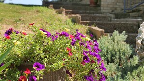 A garden with purple and red flowers, a stone building, and a staircase. - Cozy Country Cottage (Culleoka)