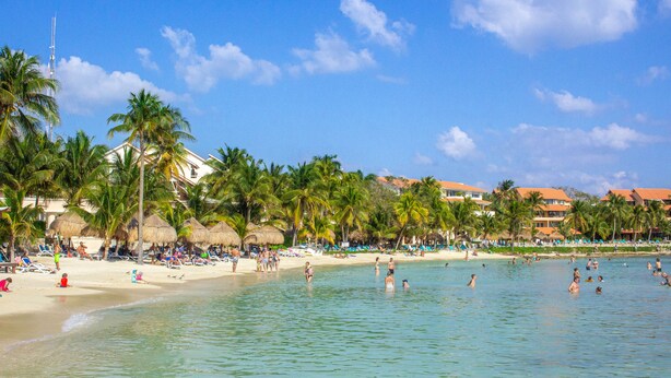Una playa con palmeras, cielo despejado y un hotel al fondo.