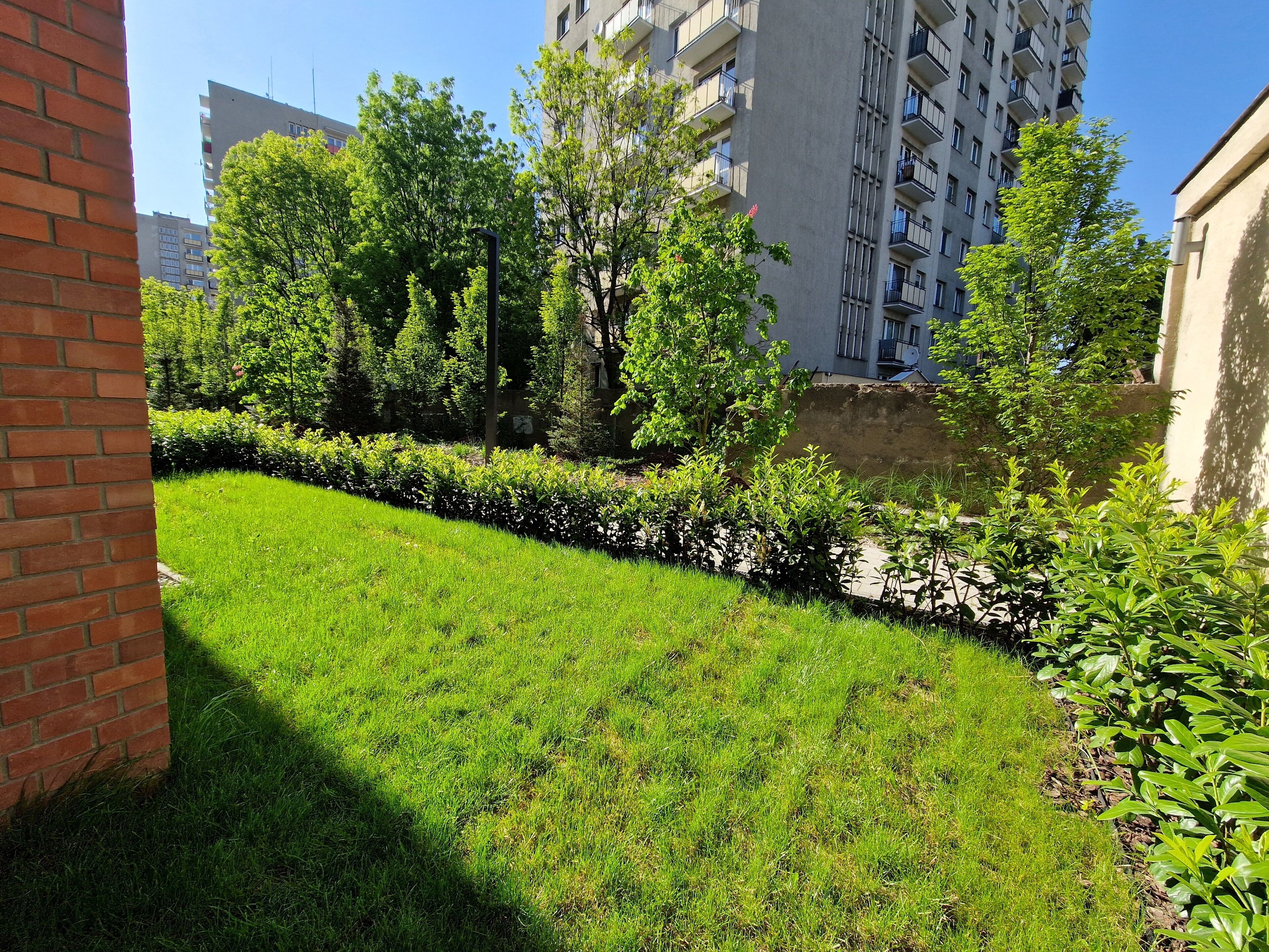 A grassy courtyard with a brick wall, surrounded by trees and a tall building in the background.