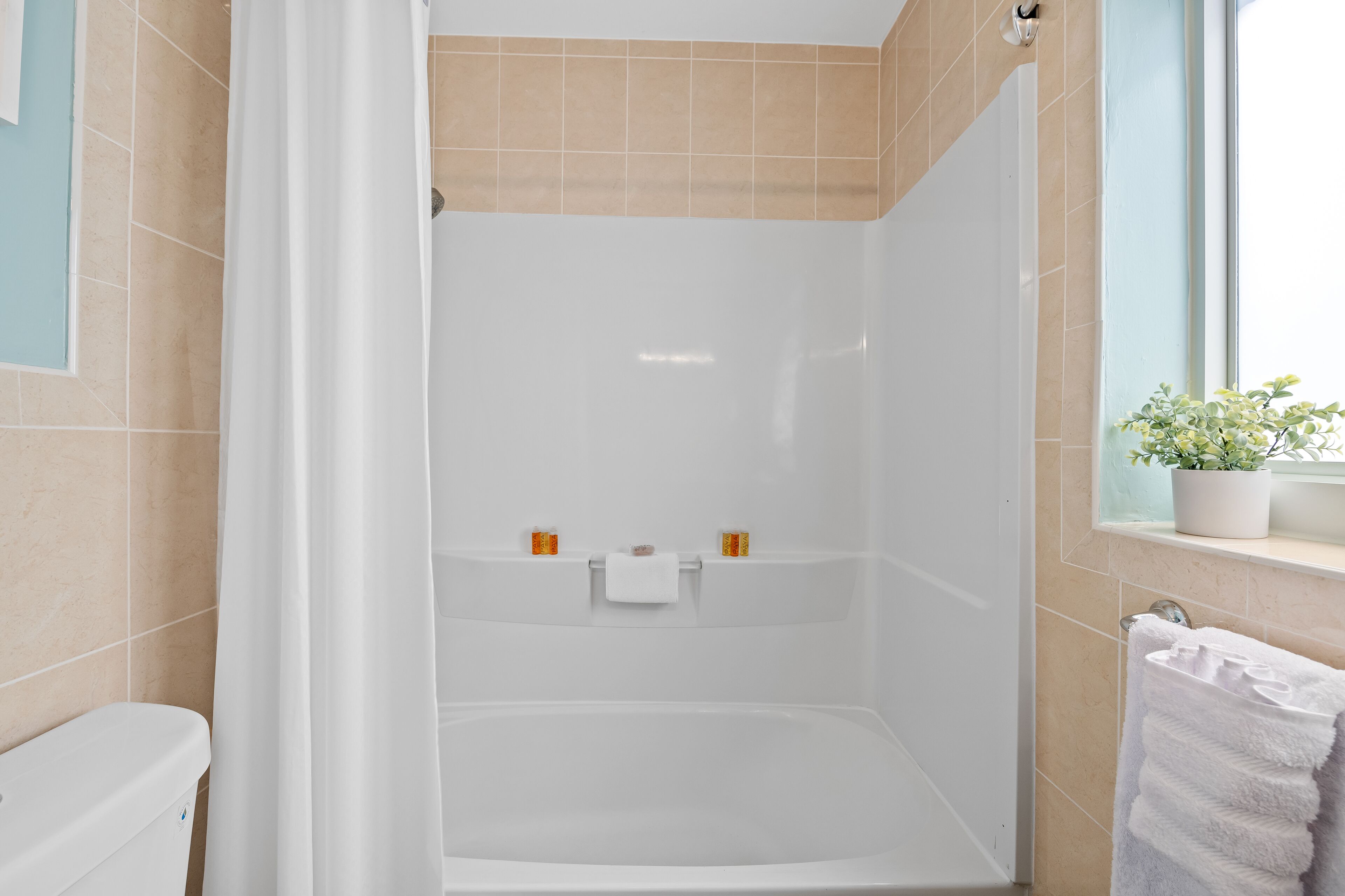 A modern bathroom with a shower, toilet, and a window with a plant.