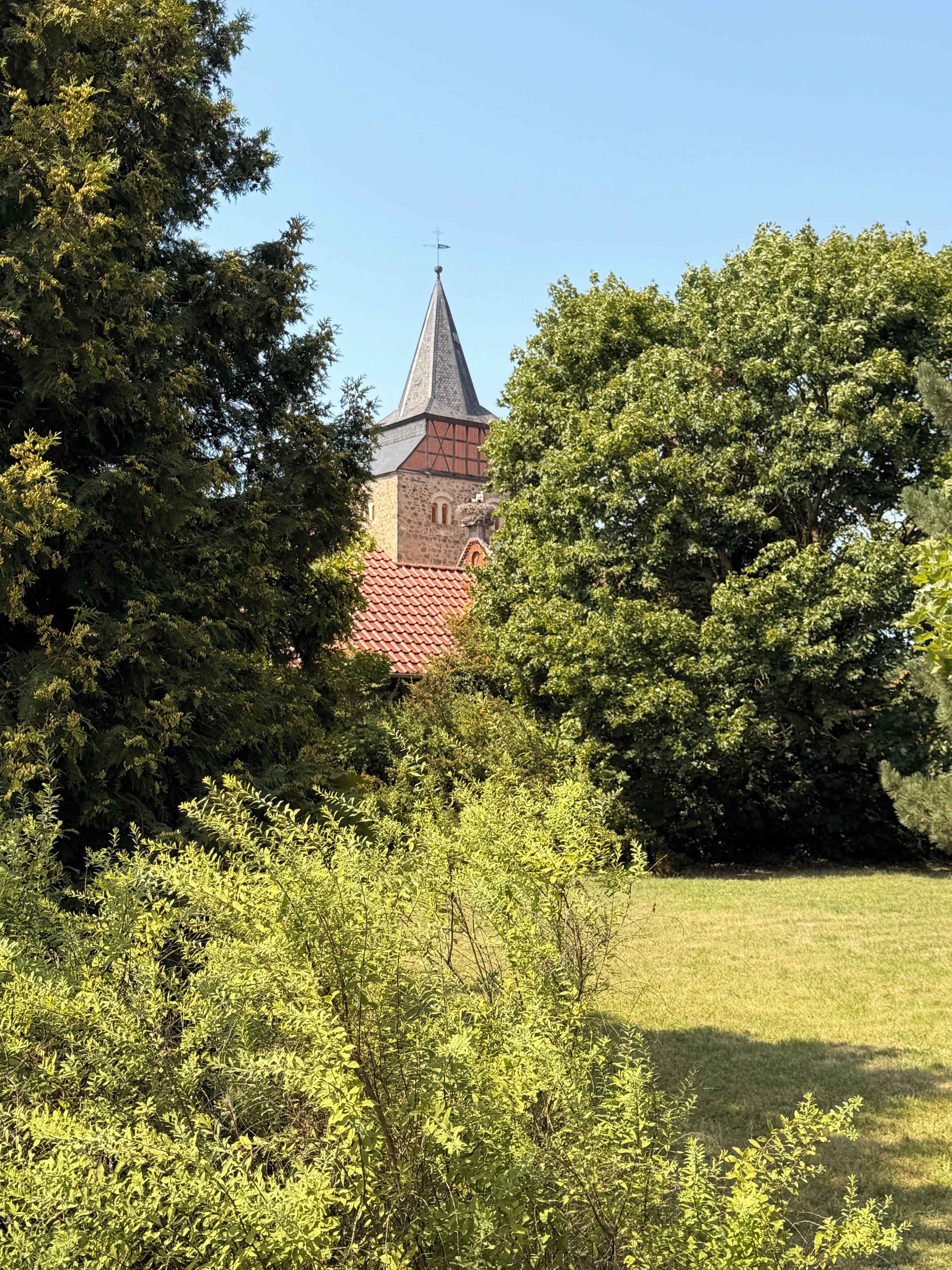 A church with a pointed steeple, surrounded by dense greenery and a clear sky.