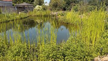 A pond surrounded by greenery, a building with a sloped roof, and a clear sky.