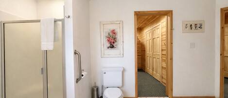 A bathroom with a shower, toilet, and a wooden hallway leading to a bedroom.