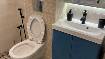 A bathroom with a toilet, a sink, and a mirror.