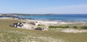 Un paisaje costero con playa, zonas de hierba y ovejas pastando.