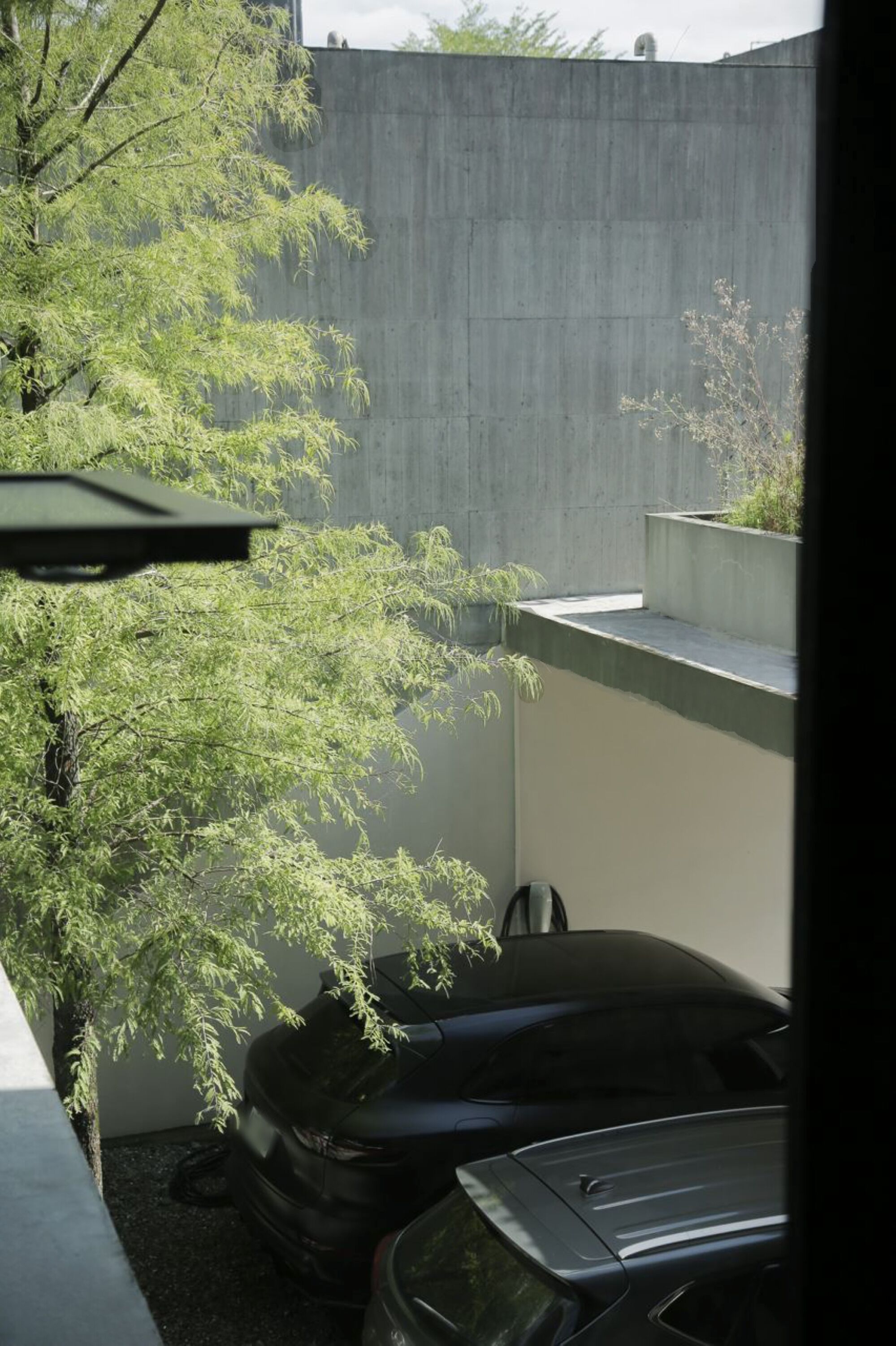 Un estacionamiento con un coche y un árbol.