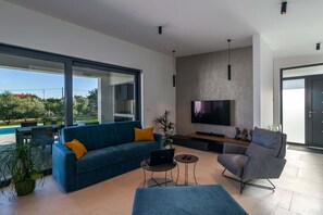 TV, caminetto, tavolo da ping pong, impianto stereo