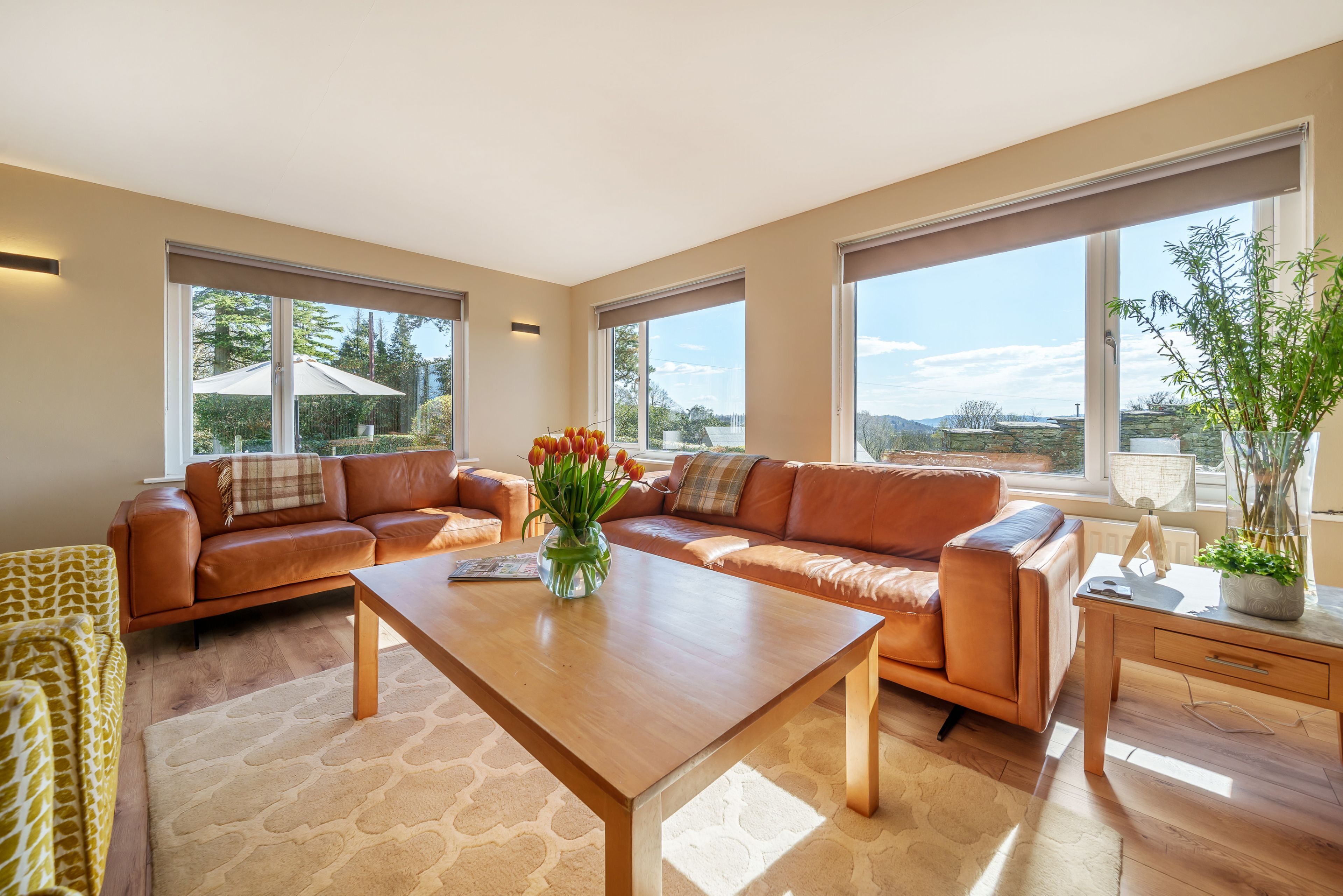 Älytelevisio, stereot