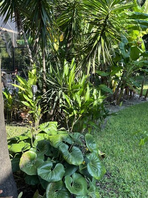 Exterior detail - The Secret Garden (Naples)