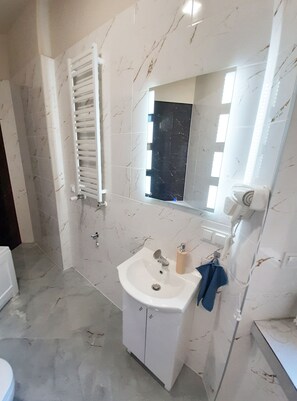 Hair dryer, towels, soap, toilet paper