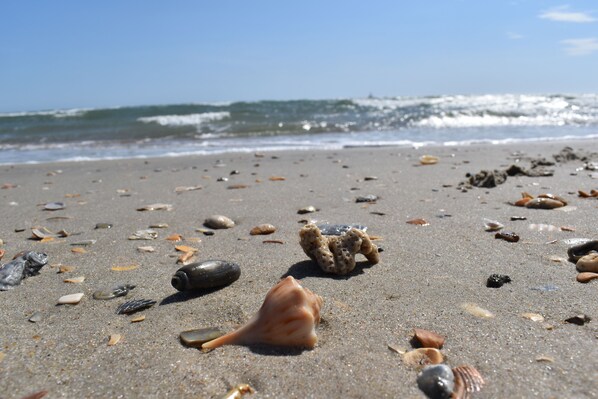 Beach - Tranquil Tides Retreat in Frisco, Outer Banks, North Carolina! (Frisco)