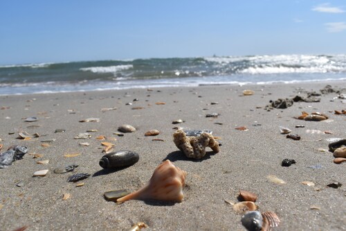 Tranquil Tides Retreat in Frisco, Outer Banks, North Carolina!