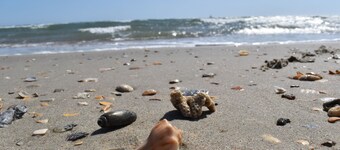 Tranquil Tides Retreat in Frisco, Outer Banks, North Carolina!