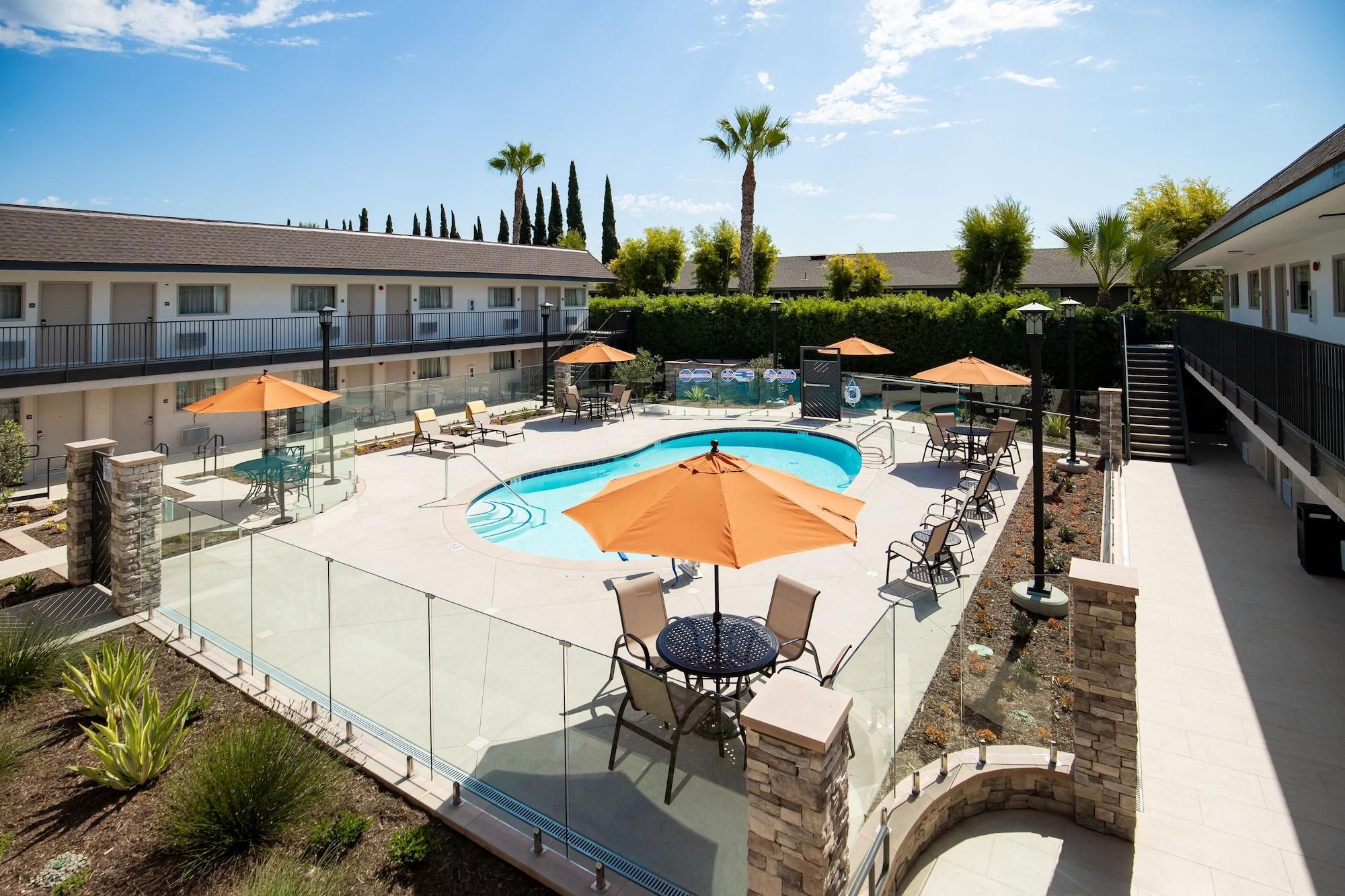 Zona de piscina hotelera con cerramiento de vidrio, asientos al aire libre y una palmera.
