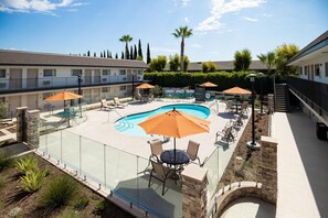 A hotel pool area with a glass enclosure, outdoor seating, and a palm tree.