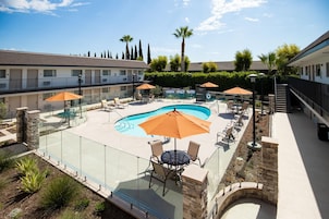 Zona de piscina hotelera con cerramiento de vidrio, asientos al aire libre y una palmera.