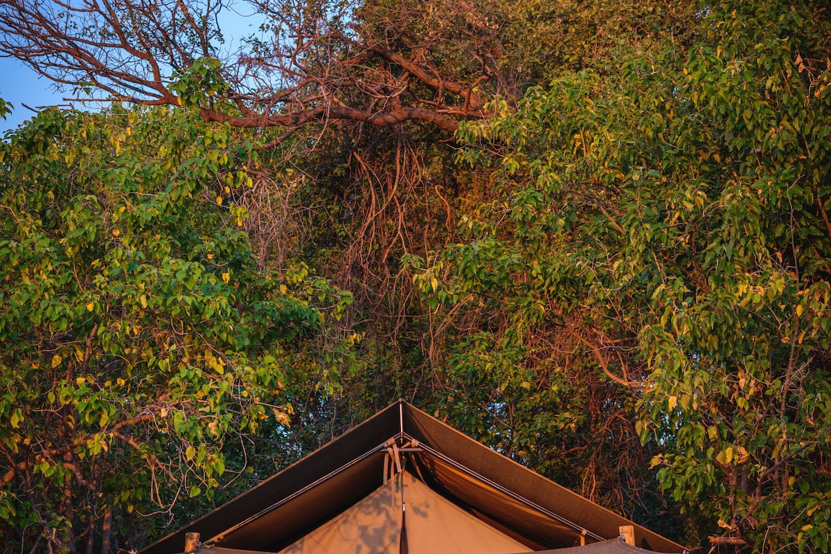 Basic Tent | 2 bedrooms, individually decorated, individually furnished, bed sheets