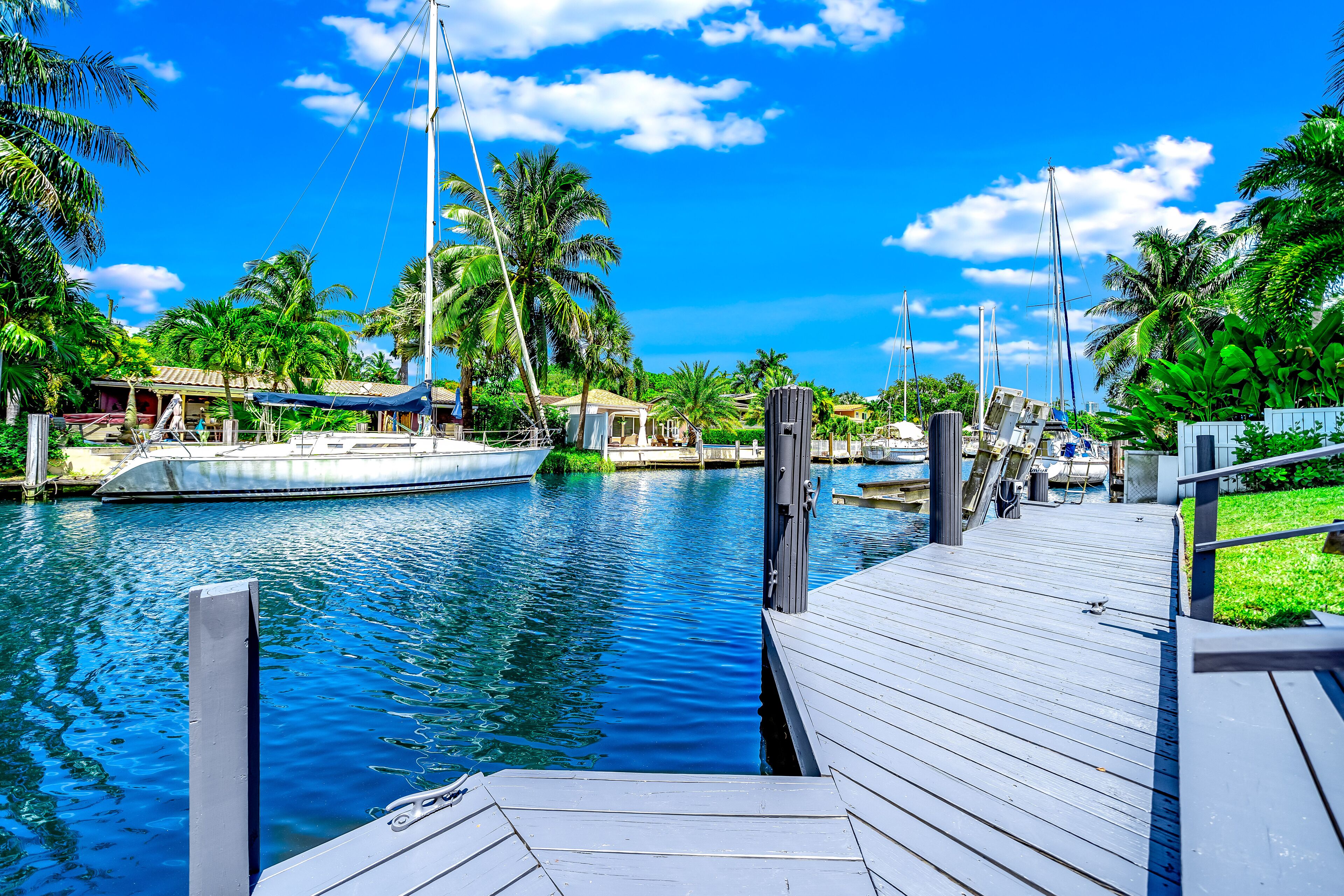 A wooden dock extending into a calm waterway with boats, surrounded by lush greenery and palm trees.