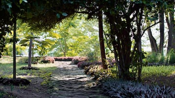 Vista al jardín