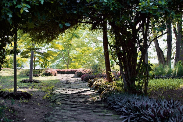 Casa de campo família | Vista para o jardim