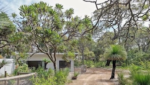A dirt path leading to a house surrounded by trees and shrubs. - Wren Studio - Private One-Bedroom Studio Nestled in Bushland (Yallingup)