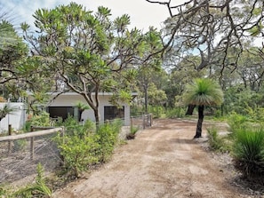 Ein Feldweg führt zu einem Haus, umgeben von Bäumen und Sträuchern.