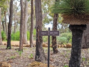 A directional signpost with 'Rosella' and 'Wren Studio' directions.