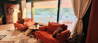 Hereford Skye - Horse & Livestock Trailer Friendly