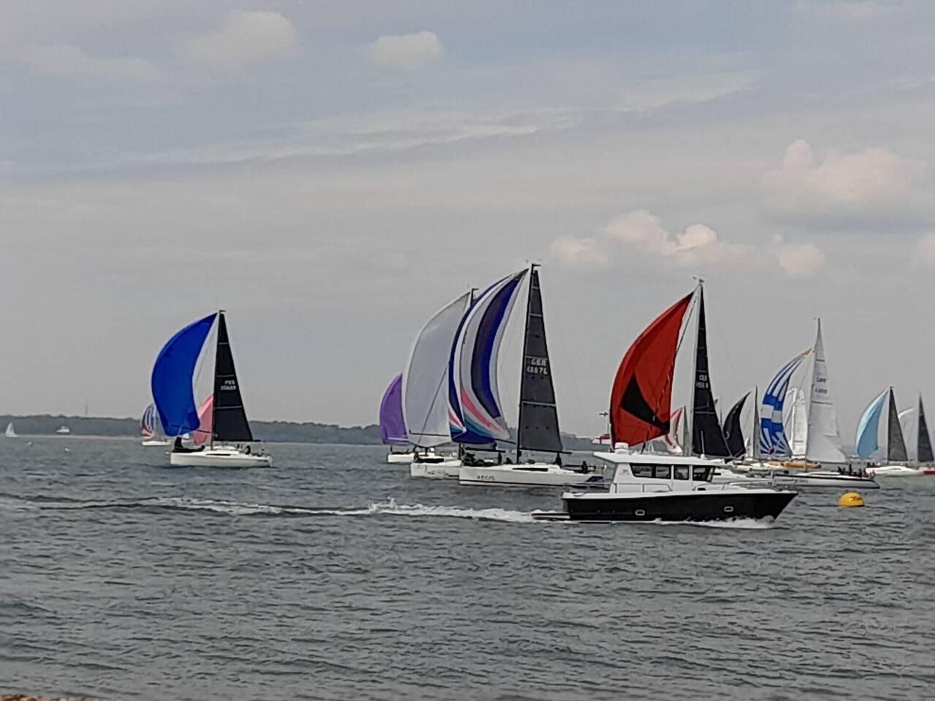 Sailboats on a body of water.